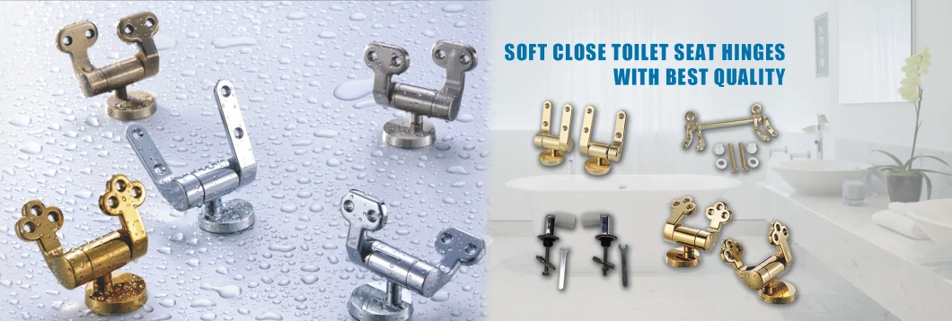 Soft Closing Hinges-Rotary Damper for Toilet Seat Cover