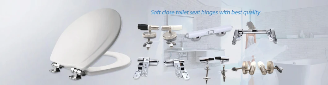 Soft Closing Hinges-Rotary Damper for Toilet Seat Cover